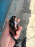 100W熱銷(xiāo)丨柏林之聲】索尼機（S0NY）適用藍牙耳機骨傳導概念掛耳式無(wú)線(xiàn)不入耳運動(dòng)跑步2025最新款 黑色 脈沖定向傳音丨雙麥降噪 曬單實(shí)拍圖