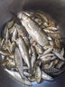 多瑙夢(mèng)魚(yú)網(wǎng)籠折疊蝦籠地龍蝦網(wǎng)不出只進(jìn)魚(yú)網(wǎng)籠網(wǎng)魚(yú)神器黃s鱔泥鰍籠 升級加強版6進(jìn)孔+贈品配件 曬單實(shí)拍圖