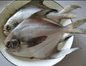 (無冰水半斤一條)新鮮生東海白鯧魚銀鯧魚海鯧魚平魚鯧扁魚 500g 4斤裝共8條（無冰水） 曬單實拍圖