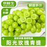 京鮮生 陽光玫瑰青提 4.5斤裝 單果10g 葡萄/提子生鮮水果 源頭直發(fā)包郵 曬單實拍圖