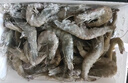 海之幫新鮮青島大蝦超大蝦凍蝦白蝦鮮活冷凍對蝦大號青蝦海鮮批發(fā) 15-17厘米鮮活速凍 3斤(凈重) 曬單實(shí)拍圖