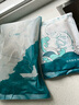 釣魚(yú)記免漿黑魚(yú)片2.5斤 (5袋*250g) 酸菜水煮魚(yú)火鍋冷凍生魚(yú)片 生鮮 曬單實(shí)拍圖
