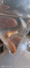 金苔鼠觀賞魚清道夫小型熱帶斑馬魚除藻工具淡水清潔糞便孔雀魚 【清潔神器】4-6cm 金苔鼠2條 曬單實拍圖