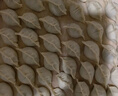 賣(mài)魚(yú)七郎青島大鲅魚(yú) 中秋海鮮禮盒整條海魚(yú)馬鮫魚(yú)海捕生鮮 2條/4斤 曬單實(shí)拍圖