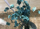 名創(chuàng  )優(yōu)品（MINISO）環(huán)球漂流系列無(wú)火香薰客廳臥室衛生間香水香氛 澳洲葡萄柚100ml 曬單實(shí)拍圖