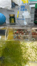 漢洋魚(yú)缸過(guò)濾材料水族細菌屋全套魚(yú)池濾材養魚(yú)用品帶網(wǎng)袋15合1 曬單實(shí)拍圖