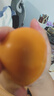 佳沛（zespri）新西蘭 陽(yáng)光金奇異果12粒禮盒特大果單果約122-146g 獼猴桃 水果 曬單實(shí)拍圖