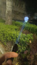 WarsunX50S手電筒強(qiáng)光變焦可充電遠(yuǎn)射穿天炮激光超亮探照燈戶外應(yīng)急燈 曬單實(shí)拍圖