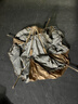 原始人 帳篷戶(hù)外露營(yíng)用品裝備全自動(dòng)速開(kāi)便攜折疊野營(yíng)野外防雨室內 2-3人【兩門(mén)兩窗】2-3人+防潮墊 曬單實(shí)拍圖