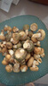 滇味十足（DIANWEISHIZU）鮮菌菇 云南野生新鮮谷熟菌樅樹菌野生菌火鍋煲湯食材禮盒 【云南野生谷熟菌】凈重500克 曬單實拍圖