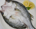 鮮京采三去海鱸魚(yú)3斤/3條 生鮮魚(yú)類(lèi) 白蕉鱸魚(yú)地標 無(wú)冰凈重3斤 源頭直發(fā) 曬單實(shí)拍圖