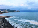 澇河橋 供港寧夏灘羊半扇羊排凈重3斤/袋 生鮮羊肉燒烤食材 曬單實拍圖