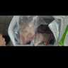 崠鮮雞腿新鮮老母雞大雞腿新鮮冷凍鮮雞腿肉雞邊腿燒烤食材雞肉生鮮 大雞腿凈重8斤（6-8個(gè)） 曬單實(shí)拍圖