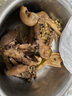 葷八廚 鴨掌2斤凈重 鴨貨生鮮鴨肉鴨爪鴨腳鴨子鹵菜味冷凍火鍋凍貨食材 曬單實(shí)拍圖