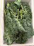 羽衣甘藍(lán)新鮮生鮮蔬菜嫩葉甘蘭芥藍(lán)西餐沙拉榨汁減肥減脂 羽衣甘藍(lán)分享4斤裝 曬單實(shí)拍圖