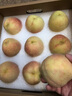 京覓江蘇水蜜桃 凈重4.5斤 單果250g+ 9個 湖景桃子 源頭直發(fā)包郵 曬單實拍圖