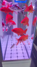 森森（SUNSUN）大型魚缸底過濾水族箱客廳家用落地玻璃生態(tài)金魚缸 超白隔斷屏風(fēng)款 1米長35cm寬（黑白可選） 曬單實(shí)拍圖