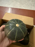 京鮮生 山東貝貝南瓜凈重5斤(品種：麻籽) 中果300g+ 板栗香 源頭直發(fā) 曬單實(shí)拍圖