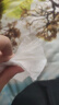 【真實(shí)惠】櫻花原木抽紙餐巾紙面巾紙衛生紙家庭裝實(shí)惠裝 櫻花原木抽紙 5層 240張*4包 曬單實(shí)拍圖