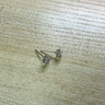 花有心柿s999純銀耳釘女純銀鋯石耳飾2024新款爆款養(yǎng)耳洞耳釘耳環(huán)耳墜飾品 【花朵】6mm鋯石耳釘-999純銀 曬單實(shí)拍圖