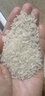 國寶橋米京山橋米20斤真空 綠色食品 湖北地標(biāo)大米 當(dāng)季新米 長粒秈米 曬單實(shí)拍圖