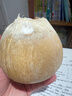 京地達進(jìn)口泰國老樹(shù)椰皇 凈重5.4斤起 6粒單果450-550g 源頭直發(fā)包郵 曬單實(shí)拍圖