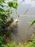 LISM魚(yú)網(wǎng)粘網(wǎng)絲網(wǎng)漁網(wǎng)三層沉網(wǎng)單層浮網(wǎng)掛網(wǎng)鯽魚(yú)網(wǎng)白條網(wǎng)小魚(yú)網(wǎng)捕魚(yú)網(wǎng) 單層浮網(wǎng)10米長(cháng)1米高1指 曬單實(shí)拍圖