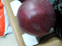 蒲戀甘肅天水花牛蘋果新鮮水果當季正宗平果紅蛇粉面丑果整箱中秋節(jié)禮 精選9斤中果【特供裝】凈重8.5斤 曬單實拍圖