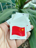 麗紗蓓兒愛國貼紙紋身貼紙國慶中國貼紙貼臉學(xué)生運(yùn)動會臉紙貼活動臉部手臂 【水轉(zhuǎn)印貼紙】共51貼 曬單實(shí)拍圖