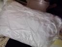 南極人抗菌枕頭枕芯一對裝（2只）星級酒店纖維枕頸椎枕 雙人高彈枕頭芯 曬單實拍圖
