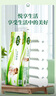雨森（YUSEN）無芯卷紙?zhí)烊蝗峄?層58g*72卷6提衛(wèi)生紙巾加厚廁紙擦手紙木漿紙 曬單實(shí)拍圖