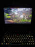 GPD win mini 7英寸2025款游戲機掌機 120Hz原生橫屏翻蓋迷你隨身口袋win掌機 AMD銳龍掌上電腦游戲機 R7-8840U 16G+1TB 黑 標配 曬單實(shí)拍圖