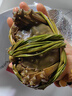 鮮活固城湖大閘蟹特大螃蟹河蟹5產(chǎn)地直發(fā)兩公4兩母 5兩公＋4兩母2對4只 曬單實(shí)拍圖
