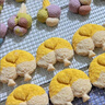 樂創(chuàng)（lecon）食品烘干機干果機商用家用水果零食肉類肉干藥材果干烘干機寵物狗狗零食不銹鋼風干機 8層【全屏款】 曬單實拍圖
