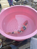 純種錦鯉精品冷水魚(yú)大型昭和招財錦鯉魚(yú)池養殖庭院觀(guān)賞魚(yú)錦鯉 （三色）30-35cm1條 精選發(fā)貨 曬單實(shí)拍圖