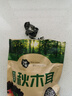 長(cháng)白山精選椴木黑木耳500克頭茬新貨肉厚無(wú)根特級干貨批發(fā)商用 黑木耳250g 曬單實(shí)拍圖