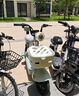 臺鈴電動自行車【國家補貼】小錦鯉50公里長續(xù)航電動車鉛酸電池48V13Ah電瓶車新國標碧波綠 曬單實拍圖