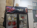 白雪雅竹大容量飲料柜商用冰柜直冷藏展示柜酒水柜純風(fēng)冷無(wú)霜保鮮柜超市玻璃門(mén)冰箱立式啤酒柜 雙門(mén)下機【直冷】1000*550*2000mm 曬單實(shí)拍圖