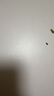 蔻馳（COACH）紐約女士淡香水30ml禮盒七夕情人節(jié)禮物生日送女友老婆閨蜜香氛 曬單實(shí)拍圖