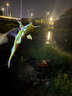 富源百川317二代綜合魚竿鯽魚竿鯉魚臺(tái)釣手桿釣魚桿碳素超輕超硬魚桿4.5m 曬單實(shí)拍圖