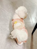 阿莫爾狗狗衣服秋冬裝可愛(ài)背帶褲棉衣寵物貓咪小型犬冬季加絨保暖四腳衣 小兔四腳衣 XS【建議1-2斤 具體參考胸圍背長(cháng)】 具體參考胸圍背長(cháng) 曬單實(shí)拍圖