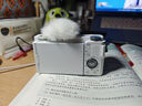 索尼（SONY）ZV-E10L 半畫(huà)幅微單相機 標準鏡頭套裝 顏值機身 精準對焦 VLOG APS-C畫(huà)幅 白色  曬單實(shí)拍圖