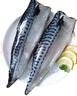 嚴(yán)謹(jǐn)挪威青花魚(yú)片新鮮冷凍青魚(yú)鮐魚(yú)似鲅魚(yú)魚(yú)類(lèi)海鮮水產(chǎn)整條青花魚(yú) 青花魚(yú)魚(yú)片500g 曬單實(shí)拍圖
