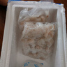 鯨口大開新鮮大蝦仁現(xiàn)剝蝦仁新鮮白蝦仁鮮凍冷凍蝦仁大號(hào)開背蝦仁2斤凈重 2斤(凈重)  特大蝦仁【約8-10厘米】 曬單實(shí)拍圖