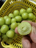京鮮生國產(chǎn)陽光玫瑰凈重4.5斤裝單果10g葡萄/提子生鮮水果源頭直發(fā)包郵 曬單實(shí)拍圖