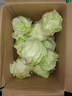 千牛優(yōu)福球生菜10斤-18斤 漢堡圓生菜西生菜輕食煎餅西餐食材新鮮沙拉蔬菜 10斤裝 曬單實拍圖