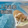 于字簡(jiǎn) 帶塑料扣手純色紙箱收納盒帶蓋特硬紙箱中號(hào)5個(gè)裝 39*30*30cm 5325 曬單實(shí)拍圖