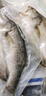 仙泉湖三去白蕉海鱸魚(yú)1斤/條凈膛冷凍刺少肉厚珠海特產(chǎn)500g生鮮中秋食材 曬單實(shí)拍圖