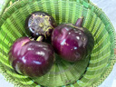 密云愛(ài)華大棚農家紫皮圓茄子 長(cháng)茄子 現摘現發(fā) 北京蔬菜 500g 農家圓茄子 500g 曬單實(shí)拍圖