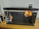創(chuàng  )寧魚(yú)缸石英變頻加熱棒 CN-605-100W 低水位烏龜小型迷你自動(dòng)恒溫器 曬單實(shí)拍圖